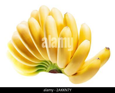Mazzetto di deliziose baby banane, isolati su sfondo bianco. Foto Stock