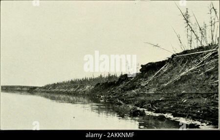 Expeditions organizzato o partecipato dal Smithsonian Institution.. . Assenza di fossili trovati. Down-fiume viaggio, Settembre, 1914. prese a Nizhni Kolymsk sul nostro viaggio di ritorno. Questa precauzione si è dimostrato necessario bequite, come una crosta sottile di appena sceso coperta di neve la groundbefore abbiamo raggiunto il nuovo insediamento. 36 SMITHSONIAN MISCELLANEOUS COLLECTIONS VOL. 66 L'aspetto generale di queste elevate diverse banche di limo assomigliano verj- muchthat di luoghi simili in Alaska e Yukon Territory. Le cime dell'alta,ripida baluardi erano ricoperta con muschio, licheni, poche piante artico, andgrasses-tra Foto Stock