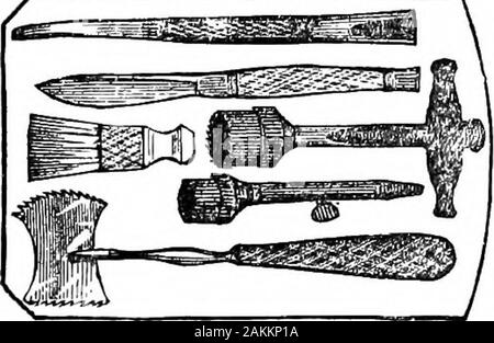 McClure's American cavallo, bovini e ovini medico; essendo una descrizione completa delle malattie comuni a questi animali, insieme con un elenco completo e metodo di somministrazione dei farmaci necessari nel loro trattamento . TREPANNING, 223 trasfusioni.-Questo è l' atto o il funzionamento di trans-ferring il sangue di un animale vivente nell'vascularsystem di un altro per mezzo di un tubo. Il sig. James Parrel,di Dublino, Irlanda è stato il primo veterinario, a myknowledge, che hanno impiegato la trasfusione in qualsiasi misura, eper un eccellente vantaggio. In casi di debolezza da salasso, egli ha fatto meraviglie con esso, e Foto Stock