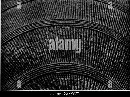 Pomo Indian cesti e i loro creatori . richiesto due hundredand quaranta pennacchi di quaglia come finitura: toccare ed era completamente twoyears sotto modo. Il vero acme del Pomo arte non è però in questi beautifulbut barbaro feathered ceste, ma piuttosto nel chuset, tsai e shi-bu bocce e canoe whjch mietitrebbia in modo per fectly simmetria di forma, colorazioni morbido, e intricati deslg-ns- perfetto opere d'arte da qualsiasi punto di vista. Forse la parte più interessante- fase dello studio di Indianbasketry è che i nomi e il significato della designswith che i cestelli sono ornate. Accanto a uno studio di Foto Stock