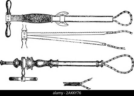 McClure's American cavallo, bovini e ovini medico; essendo una descrizione completa delle malattie comuni a questi animali, insieme con un elenco completo e metodo di somministrazione dei farmaci necessari nel loro trattamento . tter rispetto a quello richiesto. Il trattamento. Se la carie essere confinata ai denti hanno themtaken fuori. Se confinato per le ossa della testa, isincurable. L'animale muore di fame, come egli è unableto utilizzare la sua lingua e le ganasce, o raccogliere e masticare il suo feed.Fortunatamente non è una malattia conmion in Medio Membri.Ci sono stati molti casi nei Paesi occidentali. Arsenicand il ferro caldo un Foto Stock