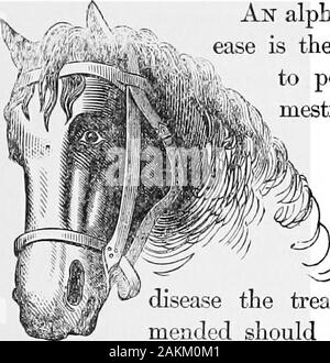 McClure's American cavallo, bovini e ovini medico; essendo una descrizione completa delle malattie comuni a questi animali, insieme con un elenco completo e metodo di somministrazione dei farmaci necessari nel loro trattamento . echance di ripristino? Sangue-fitti e physicking arepowerful e deprimente agenti; tanto che, whencarried in qualsiasi misura, pochi, se tutti gli animali, dall'littlepower che può essere lasciato, curare se stessi. È thisknowledge che consente Homoeopathists per continuare theirpractice; per se non fosse per questo potere in constitu-zione in ogni animale, Homoeopathists w Foto Stock