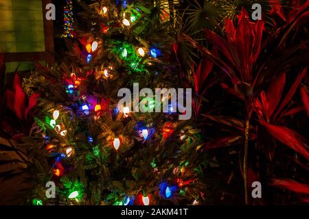 Orlando, Florida. Dicembre 30, 2019. Illuminato albero di Natale al Seaworld Foto Stock