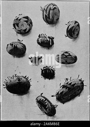 Pomo Indian cesti e i loro creatori . POMO cesti indiano. 11. PoMO * Shi-bus. [Piastra 4 di costruzione tale da rendere superflua la descrizione. In sucha casa tre generazioni di una famiglia ha vissuto e memorizzati theirfood. Il centro è stato occupato dai fuochi aperti, il fumo che si trova-ing sfiatare attraverso un foro nella ropf. Grande storage basketsfilled con ghiande erano impilati sui lati, pesce onstrings appesi alle pareti e tutta la vita familiare è andato su all'interno.La casa estiva è stata anche del lavoro di vimini coperto con rami,e la tribù spesso spostati più volte in un anno, come ghiande, fishor gioco o quarti secco wer Foto Stock