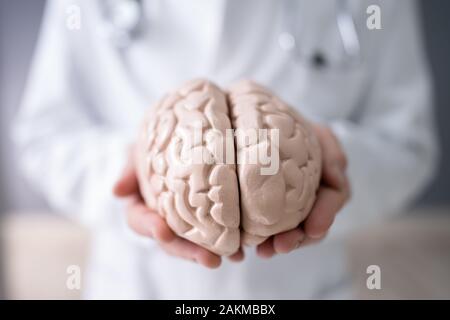 Close-up di un medico che la mano che tiene il cervello umano modello Foto Stock