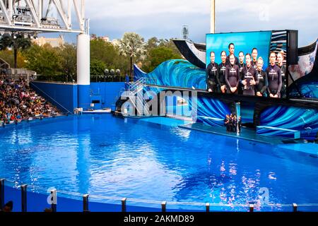 Orlando, Florida. Il 30 dicembre 2019 .formatori in Orca incontro spettacolo al Seaworld Foto Stock