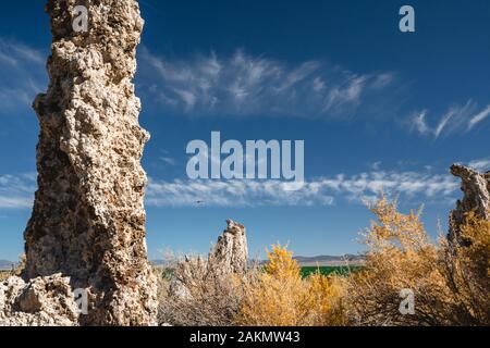 Mono Lago di tufo Riserva Naturale Statale, California. Torri di tufo, Calcium-Carbonate guglie e manopole. Foto Stock