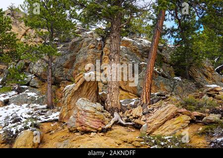 Gli alberi colorati e le rocce che creano un bellissimo paesaggio di fine autunno nel Rocky Mountain National Park Foto Stock