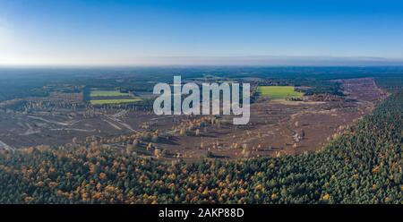 Panoramica dell'antenna fuco colpo di Luneberg Heide foreste di pini in autunno Foto Stock