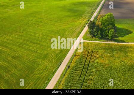 Campi di campagna verdi con vista dall'alto della strada, foto con drone aereo Foto Stock