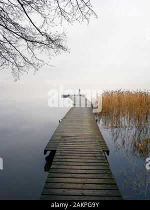 Uomo che si erge da solo sul bordo del molo e che vede il lago. Nebbia sull'acqua. Aria appannata. Mattina presto fredda in autunno. Bel momento di libertà e pace Foto Stock