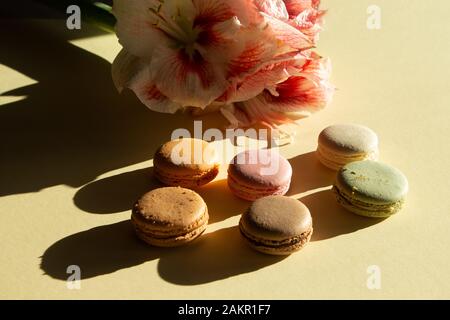 Composizione contemporanea pastello macarons e fiore Amaryllis su sfondo giallo chiaro con ombra scura. Biglietto d'auguri. Foto Stock