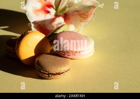 Composizione contemporanea pastello macarons e fiore Amaryllis su sfondo giallo chiaro con ombra scura. Biglietto d'auguri. Foto Stock