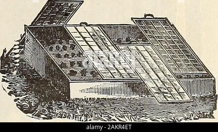 Il giardino e la fattoria manuale : 1905 . en pigiato saldamente nel letto. Da sei a dieci pollici depthof concime dovrebbe essere coperto con un leggero, ricco, friablegarden suolo ad una profondità di sei a dieci pollici. Il calore, whichwill essere abbastanza violenta, spesso salgono a 120 gradi, willsoon regrediscono e quando si inclina a 90 gradi, seedsmay essere piantati o le piante impostato in. Gestione del letto. Grande cura devonoessere esercitato sul luminoso, sunshiny giorni che il letto non notget troppo caldo, ma è giudiziosamente ventilata. Su molto freddo di notte, il vetro deve essere coperto withmats. Questi siamo in grado di fornire o di paglia o o Foto Stock