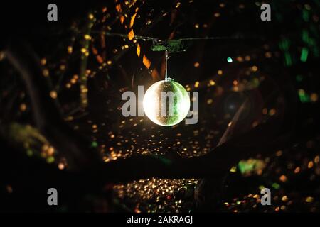 Heligan by Night 2019 Foto Stock