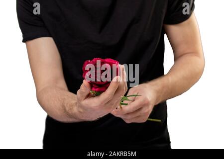 Vicino la foto di un uomo azienda rose rosse in mani. Foto Stock