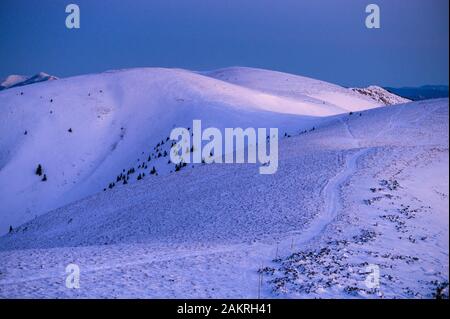 Blue inverno Carpazi montagne cresta, la mattina presto luce. Foto Stock