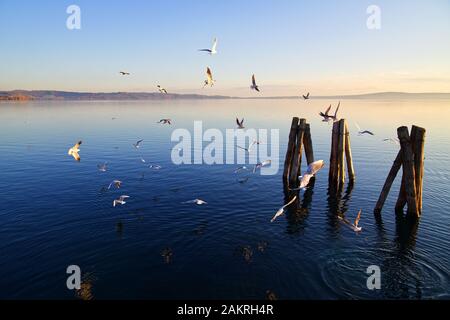 Paesaggio tranquillo con lago al tramonto, uccelli, acque blu profondo Foto Stock