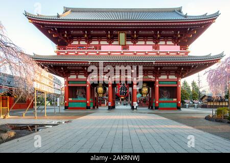 Tempio di Sensoji gate con Cherry Blossom tree durante la stagione primaverile in mattina presso il quartiere di Asakusa a Tokyo in Giappone. Giappone turismo, storia edificio, o Foto Stock