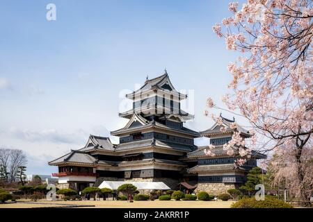 Il Castello Matsumoto durante la fioritura dei ciliegi (Sakura) è uno dei più famosi luoghi di interesse a Matsumoto, Nagano, Giappone. Giappone turismo, storia edificio, o trad Foto Stock