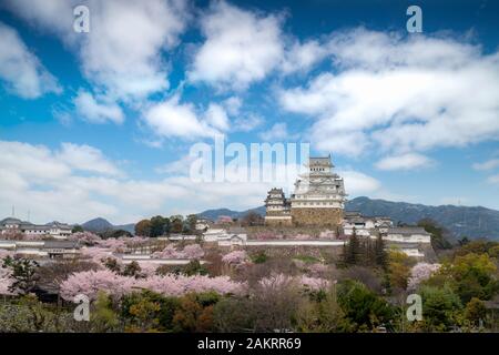 Fiore di Ciliegio fiori stagione durante la stagione primaverile con il castello di Himeji e bel cielo cloud nella città di Himeji, Hyogo vicino a Osaka, Giappone. Giappone turismo, histo Foto Stock