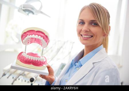 Ritratto di dentista sorridente che mostra una protesi artificiale Foto Stock