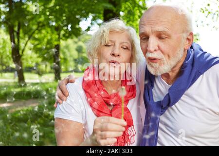 Coppia di anziani soffiando insieme su un dente di leone in estate Foto Stock