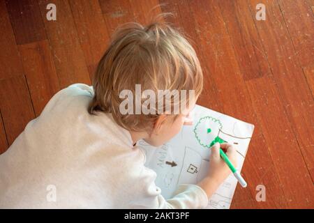 Bambino disegna un albero sul pavimento in legno Foto Stock