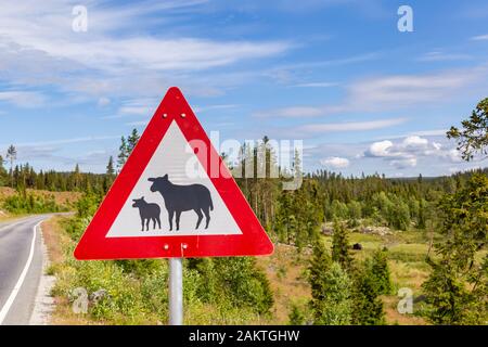 Segnale stradale di avvertimento di pecora lungo la strada in Norvegia. Attenzione alle pecore! Foto Stock