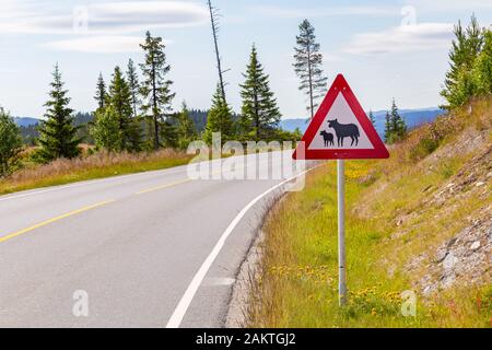 Segnale stradale di avvertimento di pecora lungo la strada in Norvegia. Attenzione alle pecore! Foto Stock