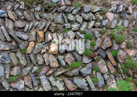 Il vecchio muro di Cornovaglia nel Trevellas Valley vicino a Sant Agnese, Cornwall, Regno Unito Foto Stock
