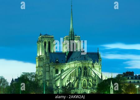 La cattedrale di Notre Dame a Ile de la Cite, Parigi, Francia Foto Stock