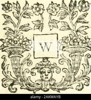 Corruptae latinitatis index; o una raccolta di barbaro parole e frasi che si trovano nelle opere dei più celebri scrittori moderni in latino . [ Iii ] *|v*^;|i*;;;;j;&lt;f;(i*4v^f4.Se^^^i!i4*fif"f^4vf^se&LT;^f^^^4&LT;^*f *4**** ^ §§ §§ &;*;- •)):? ?*?*?*# S I ^?^ v.t r.*j-1-^- *--t ^ t "1" 4 ? ??- T- &gt;":- *• -t (r * * ?&GT;:? •:&Lt;= Trr * vjJ t-^i^^ t t&LT;^ t.^ c&lt;p^ 4[*,^^^Jf^^^.^^^t^^^.^^^4J*1j.&lt;l^^^f&lt;J.^f^^^i*"]*^1j*^ T H E P R E F A C E.. H E N I firft ha iniziato a rendere fbis^S^ CoUcBmi, vv-come derigned per la mia% proprie -^^i^g ^^^ senza4*feP vista rendendo pubblico. Foto Stock