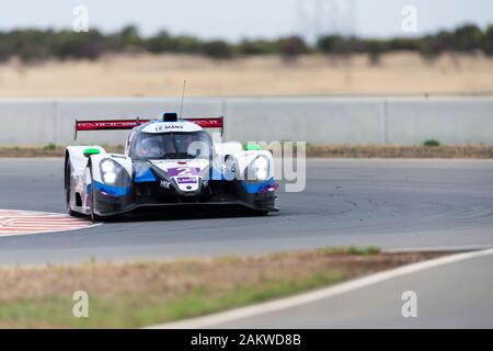 Tailem Bend, South Australia. Il 10 gennaio 2020; la curva Motosport Park, Tailem Bend, South Australia, Australia; Asian Le Mans, 4 ore di curvatura, giorno di pratica; il numero 2 Nielsen Racing LMP3 pilotato da Tony Pozzi, Colin Noble, durante le prove libere 1 - Editoriale usare carte di credito: Azione Plus immagini di sport/Alamy Live News Foto Stock