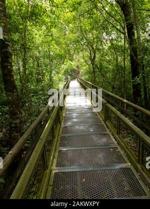 Il sentiero per le cascate, Parco Nazionale di Iguazu, Misiones, Argentina. Foto Stock