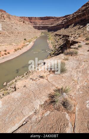 Il fiume San Juan che scorre attraverso un canyon nel sud dello Utah. Foto Stock