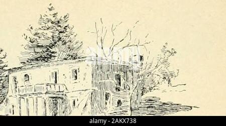 La California del sud . Bilcf^ns TWb,.,-) -- la terra, con belle vedute della valle e tappezzate con il verde tenero del grano primaverile. In prossimità del Baldwin residence sono pondsand tropic giardini, con boschetti di cipressi, eucalyptusand palme, sotto e intorno al quale growrs in trueCalifornia wantonness una profusione di fiori. Su thisranch sono molti viali di alberi di eucalipto, alto, grace-ful e scuro, formando maestosi colonnati tra cuiè brillante flussi di sole attraverso la strada. Altre unità si sono fuori di Pasadena - Garvanza,dove la bella Chiesa del Memoriale di Foto Stock