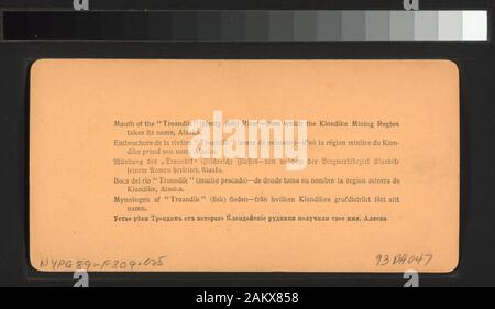 Visto-mulino dove legname venduto a 30 centesimi per ogni piede e la segatura a $1000 un carico di Dawson City, Alaska [didascalia sul retro:] Bocca del Troandik (abbondanza di pesci di fiume), da cui il Klondike regione mineraria prende il suo nome in Alaska,.; visto-mulino dove legname venduto a 30 centesimi per ogni piede e la segatura a $10.00 un carico. Dawson City, Alaska. Foto Stock