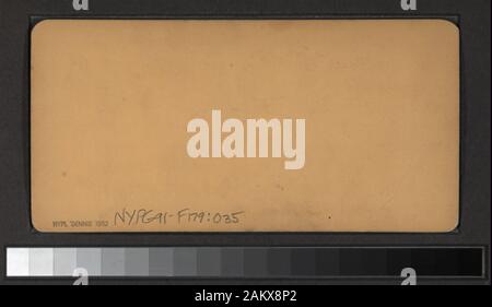 In scena a NY baraccopoli include viste da D. Barnum, G. W. Pach, Underwood & Underwood e altri fotografi ed editori. Robert Dennis raccolta di vista stereoscopica. Le strade di Manhattan sotto 14th: Bowery, incluse le viste delle elevate, Broad Street, Canal, Centro Chataham Square Park Row, Nassau; Elizabeth, Hester strade e altre viste tenement compresi ambulanti, nuovi immigrati e neri di avvio al lavoro; Fulton Mercato e ponte di Fulton e Broadway; cinque punti; Park Place; la Stuyvesant Pear Tree al tredicesimo e 3rd. Ave.; l'uomo con un megafono si rivolge a persone abou Foto Stock