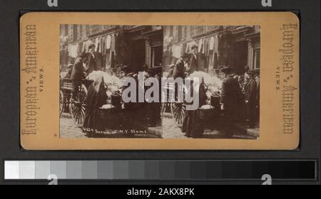 In scena a NY baraccopoli include viste da D. Barnum, G. W. Pach, Underwood & Underwood e altri fotografi ed editori. Robert Dennis raccolta di vista stereoscopica. Le strade di Manhattan sotto 14th: Bowery, incluse le viste delle elevate, Broad Street, Canal, Centro Chataham Square Park Row, Nassau; Elizabeth, Hester strade e altre viste tenement compresi ambulanti, nuovi immigrati e neri di avvio al lavoro; Fulton Mercato e ponte di Fulton e Broadway; cinque punti; Park Place; la Stuyvesant Pear Tree al tredicesimo e 3rd. Ave.; l'uomo con un megafono si rivolge a persone abou Foto Stock