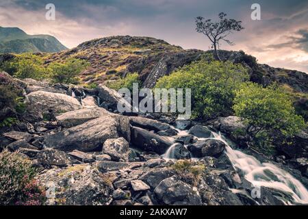 Cascata Nel Parco Nazionale Di Snowdonia, Galles Del Nord, Regno Unito Foto Stock