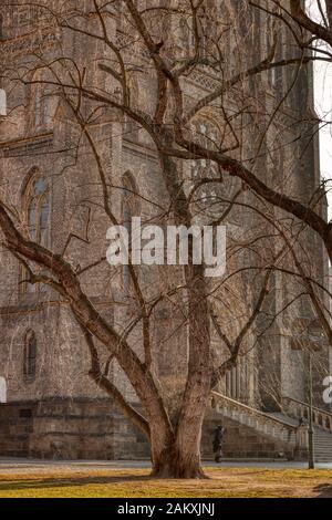 Praga Repubblica Ceca 10 gennaio 2020 - Bella vista del mattino di Namesti Miru con alberi vecchi di fronte alla Chiesa di St Ludmila sotto il sole caldo l Foto Stock