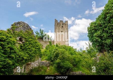 Vista di un castello in rovina torre a Dvigrad (o a causa Castelli), un abbandonato città medievale di Draga valle centrale, Istria, Croazia Foto Stock