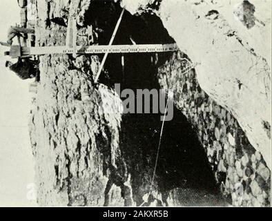 I documenti di seduta del Dominion del Canada 1913 . York fabbrica-Jludson Bay.. i . Foto Stock