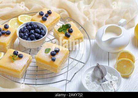 Frollini di frollini di limone appena sfornati con strato di cheesecake sormontato da zucchero a velo, mirtilli freschi su una rastrelliera metallica su un tavolo di legno bianco Foto Stock