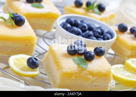 Barrette frollate di limone al curd appena sfornate con strato di cheesecake condito con zucchero in polvere, mirtilli freschi e foglie di menta su una rastrelliera metallica su un Foto Stock