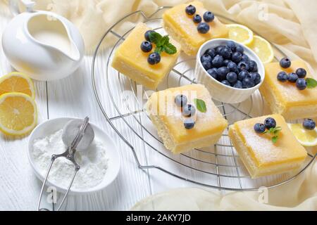 Frollini di frollini di limone appena sfornati con strato di cheesecake sormontato da zucchero a velo, mirtilli freschi su una rastrelliera metallica su un tavolo di legno bianco Foto Stock