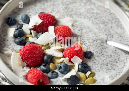 In casa Chia budino di sementi ciotola con frutti di bosco e i dadi Foto Stock