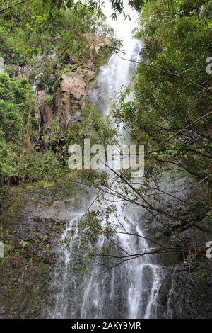 Sbirciando attraverso il fogliame tropicale fino alle Cascate di Wailua sull'autostrada di Hana, Hana, Maui, Hawaii, Stati Uniti Foto Stock