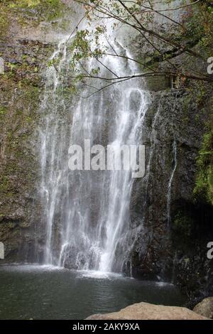 Sbirciando attraverso il fogliame tropicale fino alle Cascate di Wailua sull'autostrada di Hana, Hana, Maui, Hawaii, Stati Uniti Foto Stock